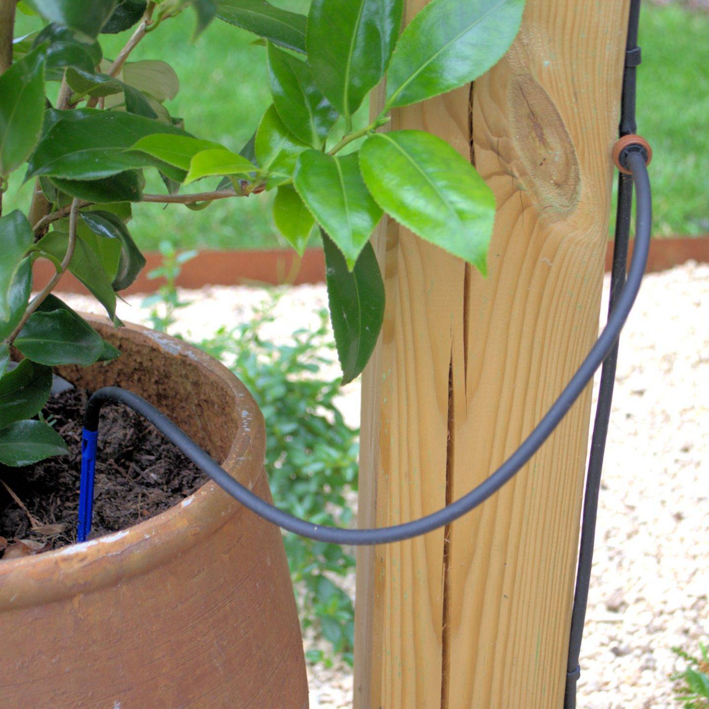 A Guide To Garden Watering Systems Access Irrigation