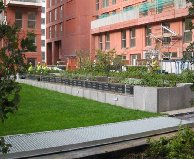 Lawn and border on green roof watered by Access irrigation system