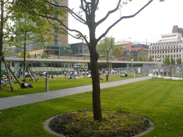 Image of tree and grass area in city square watered by irrigation systems