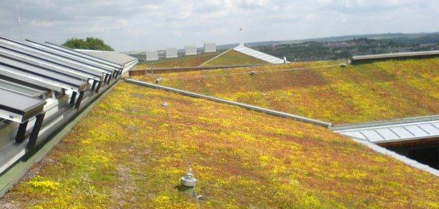 Image of extensive green roof planted with sedums irrigation system