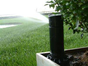 Pop-up sprinkler on green roof