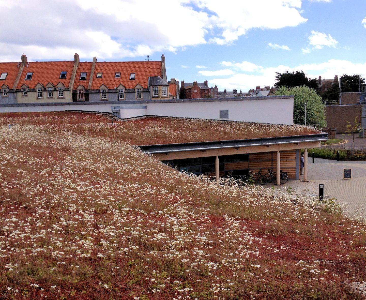 Image showcasing Extensive Green Roof Irrigation Systems | Access Irrigation
