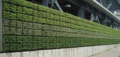 Green wall watered by irrigation system