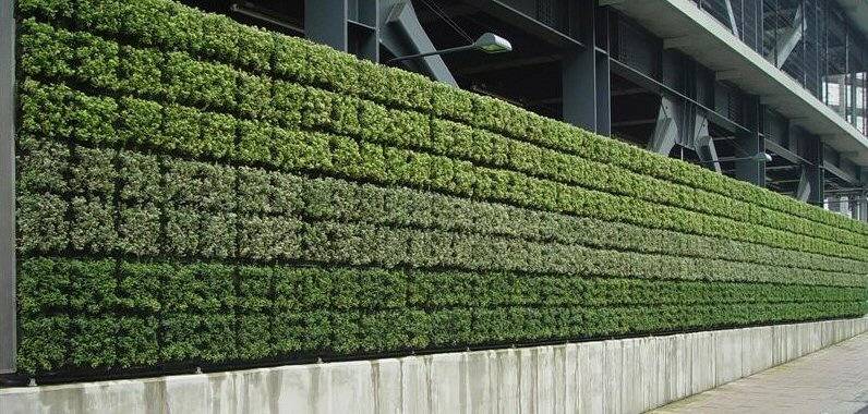 Green wall watered by irrigation system