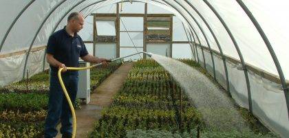 Hand watering with metal softrain watering lance in nurseries and garden centres