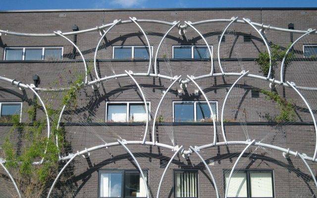 Hanging planting on building watered by irrigation system