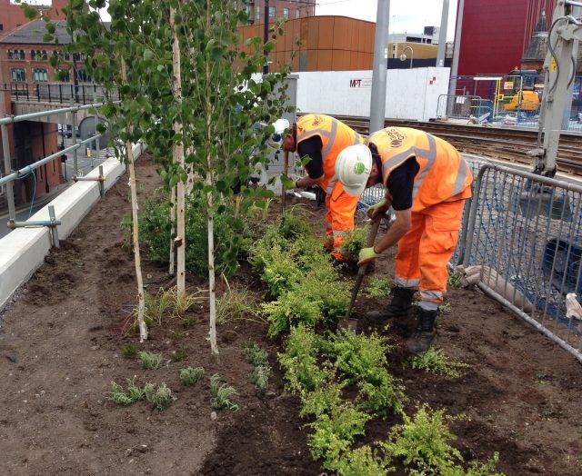 Image of irrigation system being installed into planter