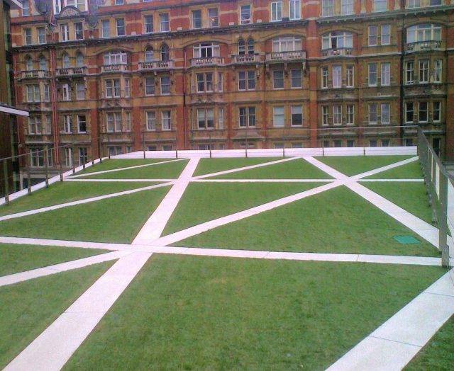 Intensive green roof with grass watered by irrigation system