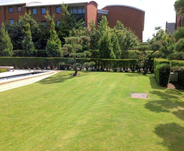 Lawn area with pop up sprinklers at corporate building