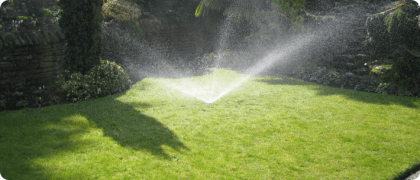 Lawn area watered by pop-up sprinkler irrigation system