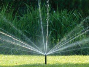Hunter MP rotator pop-up sprinkler watering lawn