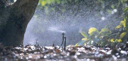 Water spray from mini sprinkler watering garden borders