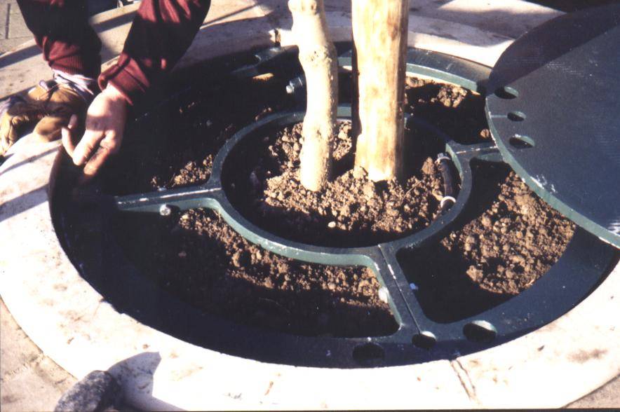 Tree Irrigation Tree Watering Systems Access Irrigation