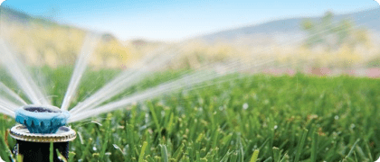 Hunter MP Rotator Strip Sprinklers for watering long and narrow areas