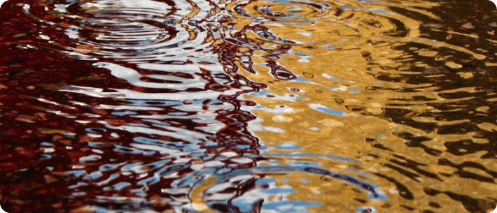 Image of water reflections in rain puddle