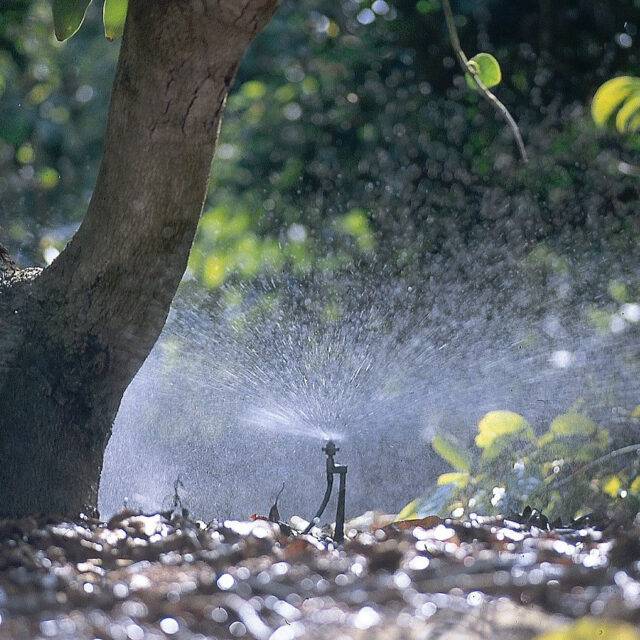 Border sprinkler watering kit