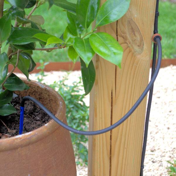 Hanging basket and patio tub watering system
