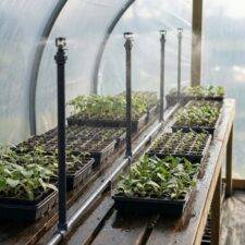 MA1V mist propagation with risers