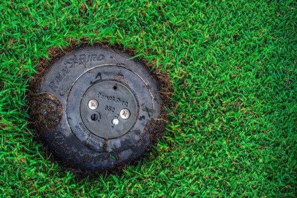 Rainbird 952E sprinkler head in grass