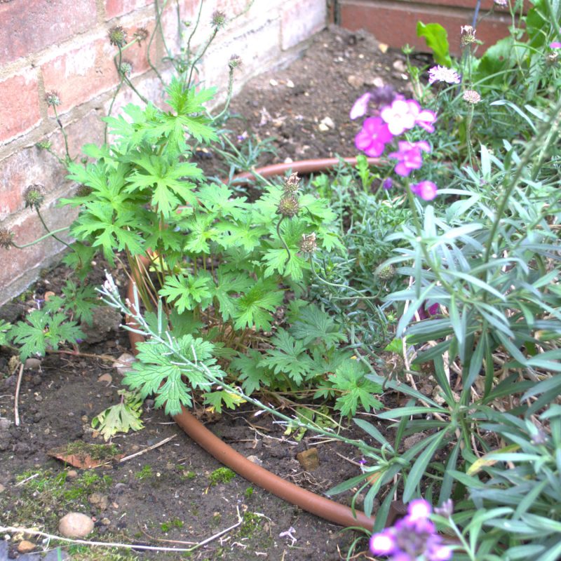 Drip line on a border