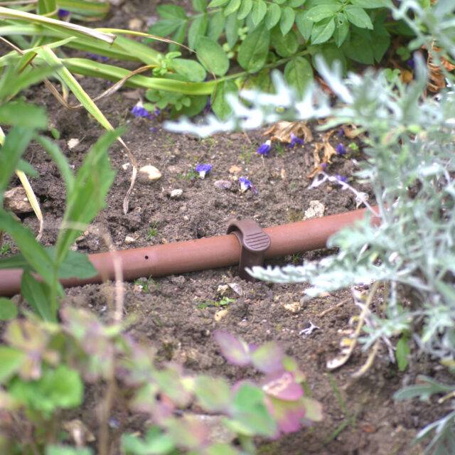 Flowers in garden border watered using Permadrip Pro drip line