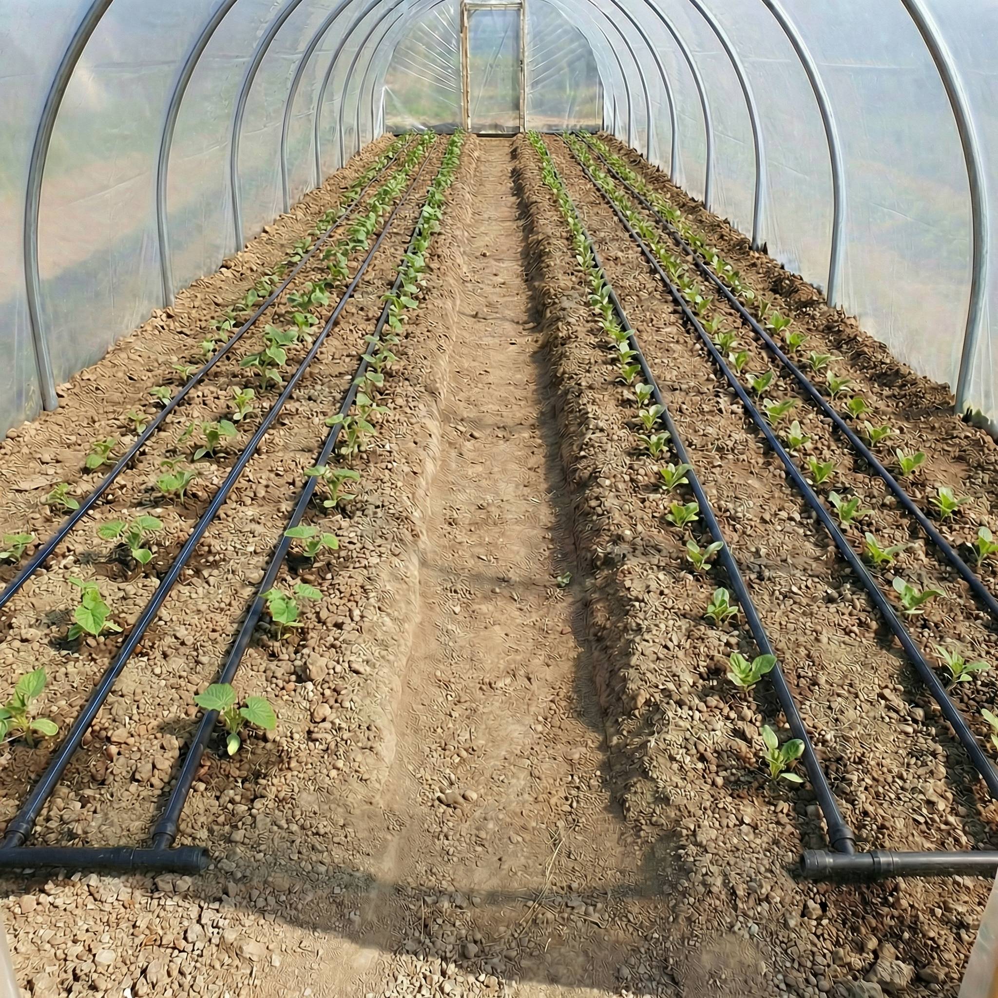 T-tape laterals for tunnels