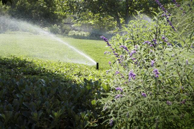 Pop up lawn sprinkler for garden and landscape watering