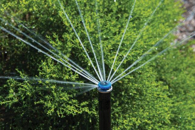 Pop-up lawn sprinkler using Hunter MP rotator nozzle head