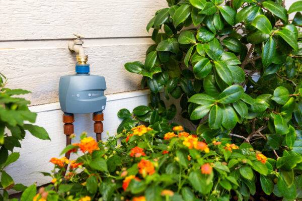 Hunter Bluetooth 2 zone water timer on tap