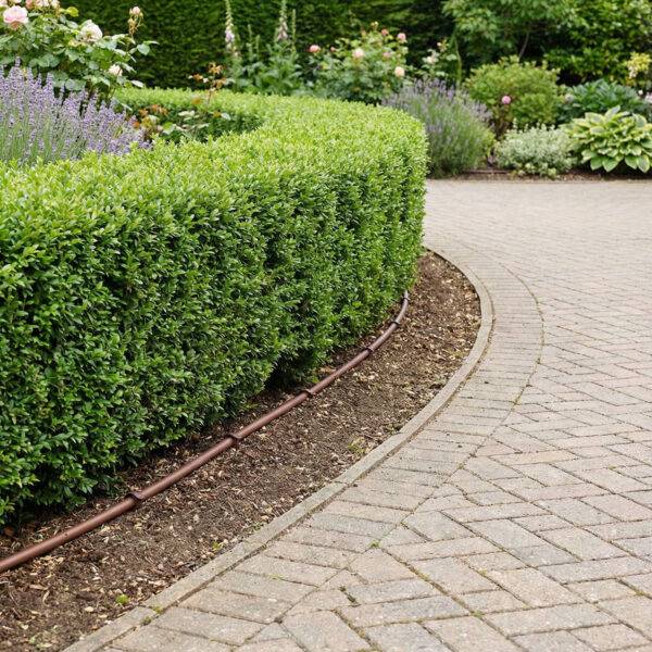 Hedge Watering Kit