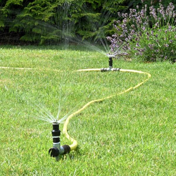 Lawn watered using temporary lawn watering kit which includes metal spiked risers, Hunter MP rotator sprinklers, Tricoflex hose and fittings