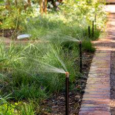 Sprinklers watering a plant border