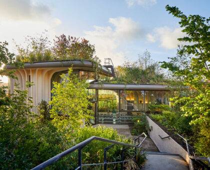 Green roof at Maggies Centre Yorkshire