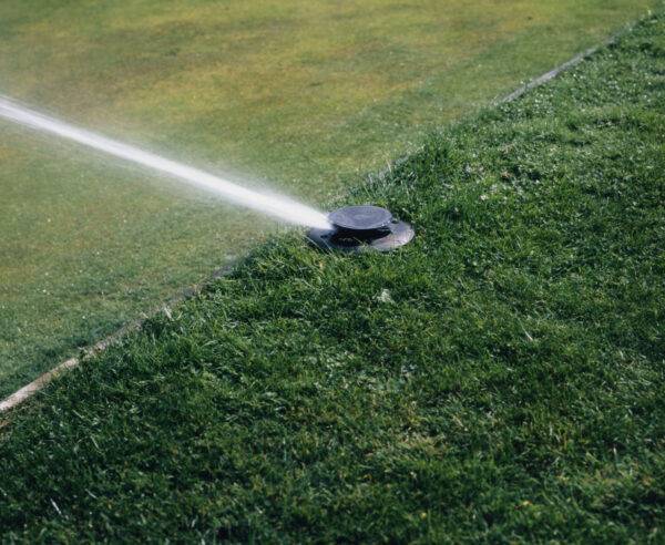 Bowling green popup sprinkler watering bowling pitch