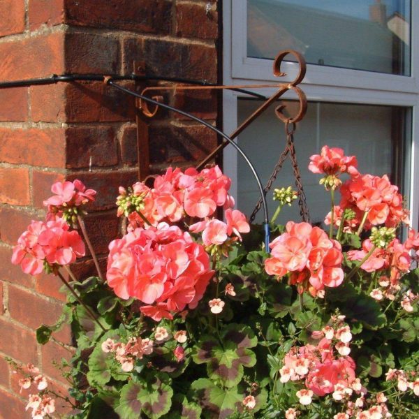 Hanging basket with dripper
