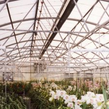 Single Line Glasshouse Kits provide for glasshouses up to 4.5m wide