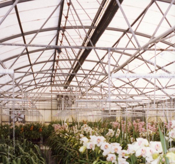 Single Line Glasshouse Kits provide for glasshouses up to 4.5m wide