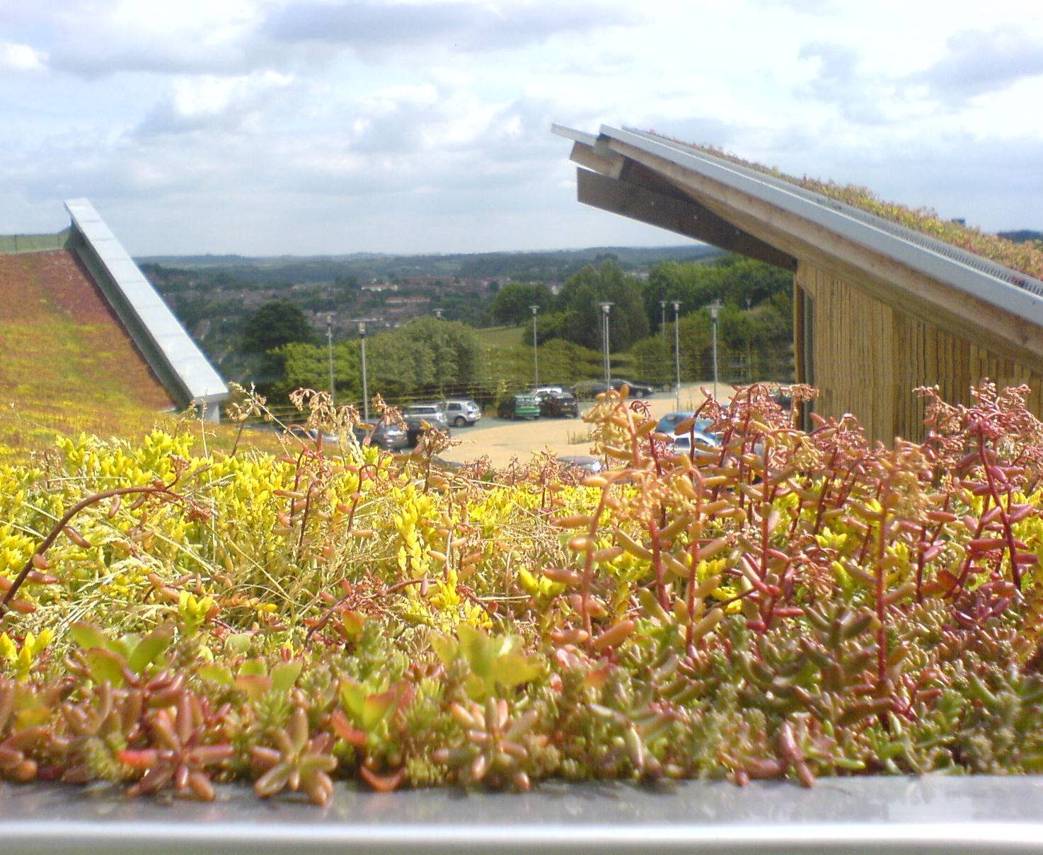 Green Roof Irrigation Guide - Access Irrigation
