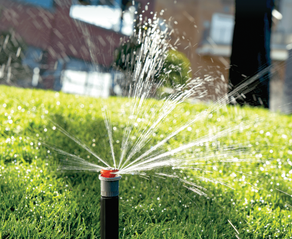 Hunter MP rotator sprinkler watering lawn