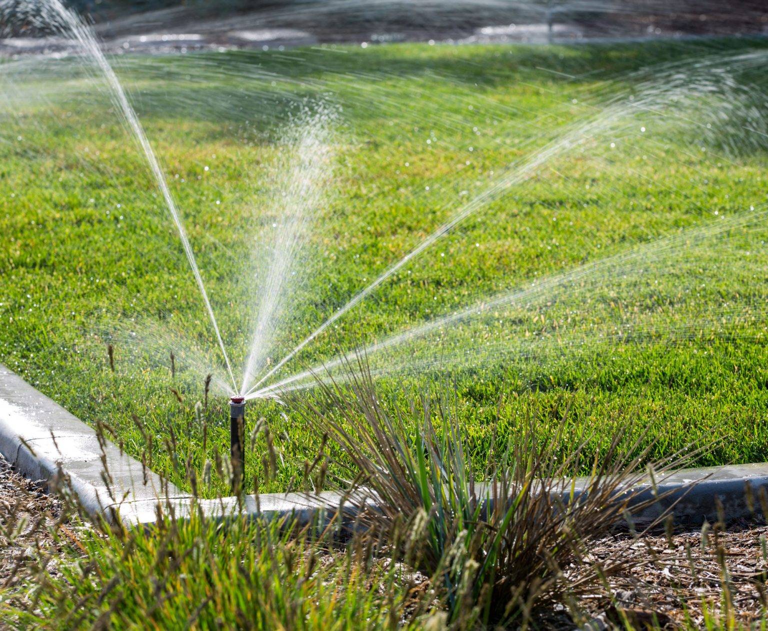 Hunter ProSpray sprinkler head Buy Online from Access Irrigation
