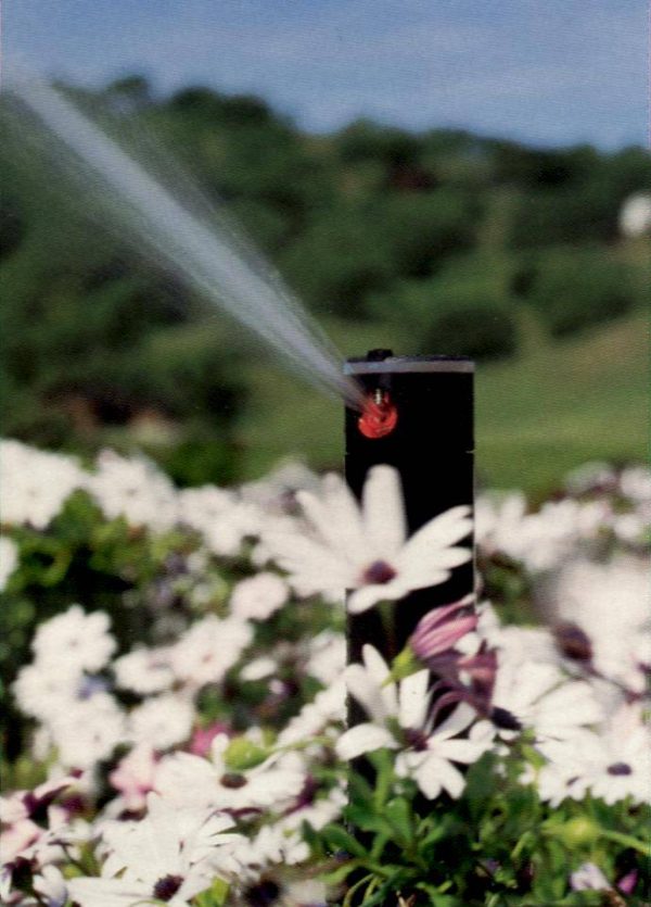 Image of Hunter PGJ small shrub head watering flower beds