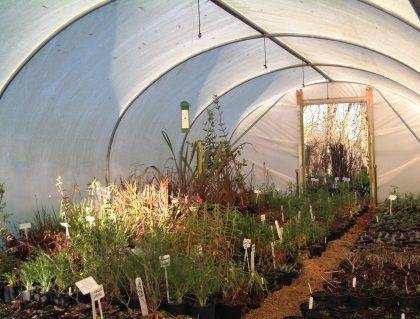 Overhead polytunnel irrigation kits to water narrower tunnels using overhead spray irrigation in nurseries, market gardens and garden centres