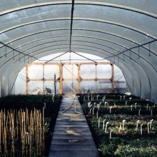 Twin Line Tunnel Kits to water wide tunnels using overhead spray irrigation in nurseries, market gardens and garden centres