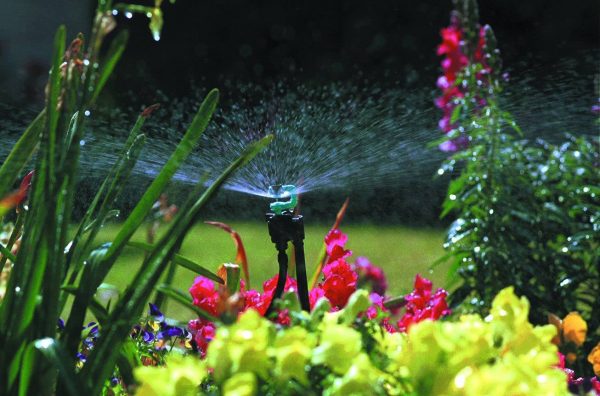 Flowers and plants in garden borders watered by mini border sprinkler kit