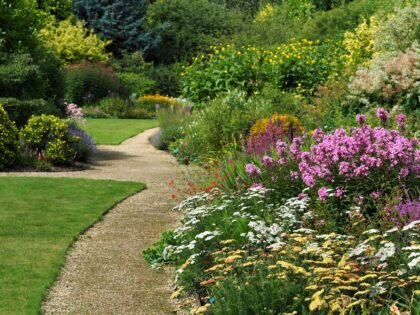 English garden border with flowers and plants and lawns watered using irrigation system