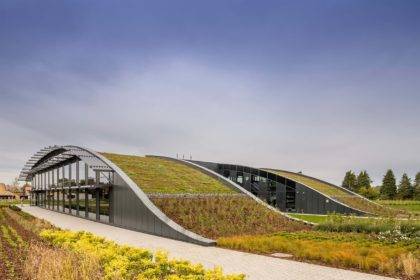 Access irrigation system watering both green roof area at Cabi HQ