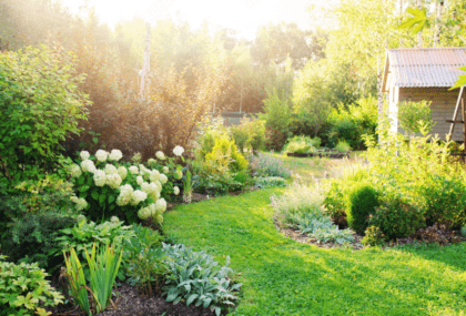 Image of grass, flowers and plants in the garden being watered by irrigation system