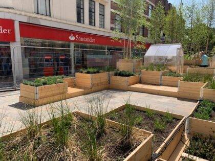 Image of Ilford town centre communal area watered by irrigation system designed and installed by Access Irrigation