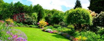 Beautiful garden