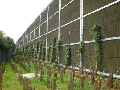 Green wall, Slough